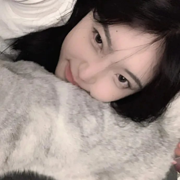 图雅的婚事